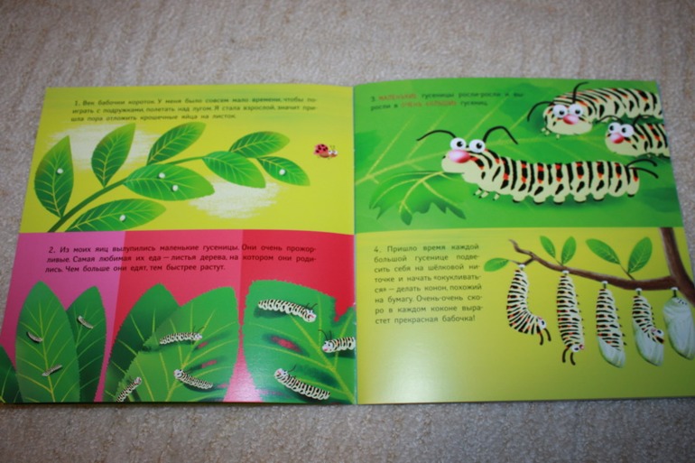 42e2a549d980eeaa4eff5006c6dec95d.jpg