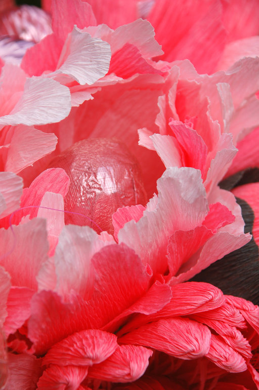 Солнце вышло на пять минут))) сфоткала все что можно))