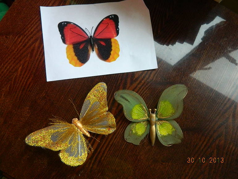 ТН "Бабочки" 2г2мес