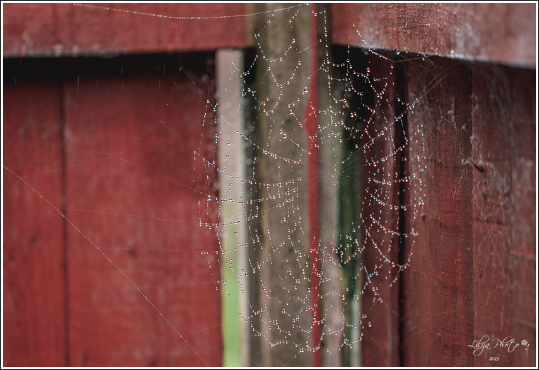 несколько фотографий