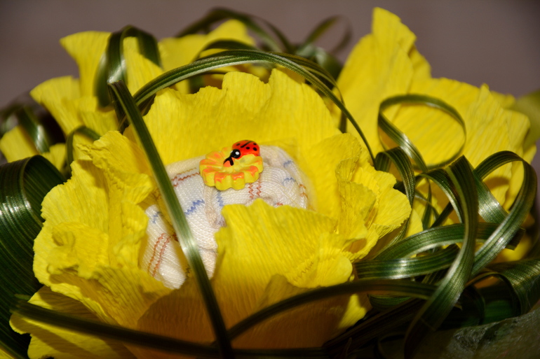 букет с носочками первый опыт