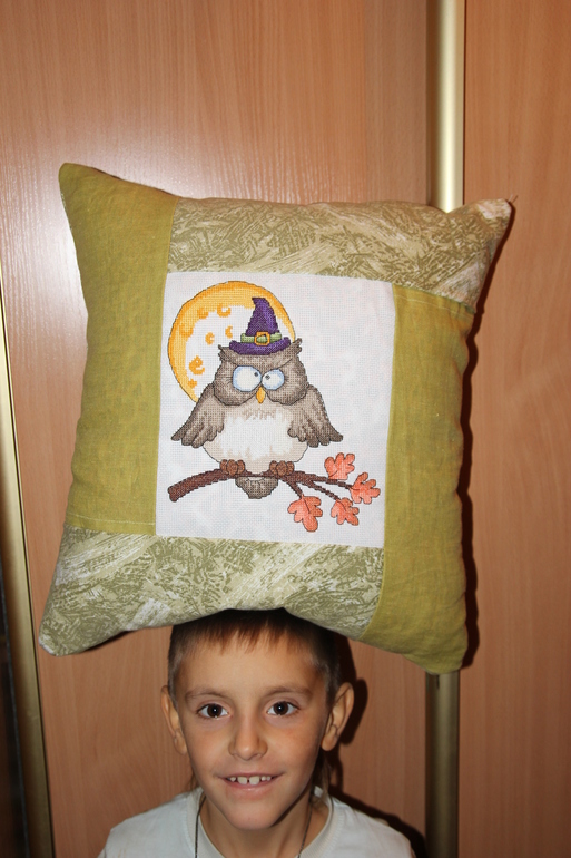 Моя авантюрная сова