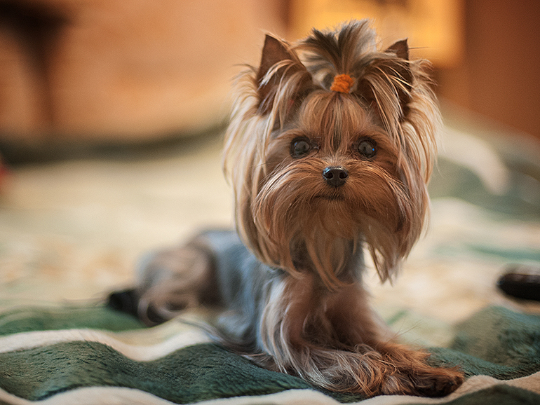 Наша крошка