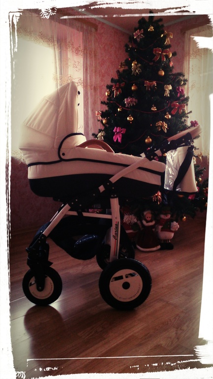 Наш транспорт DPG Carino 3в 1