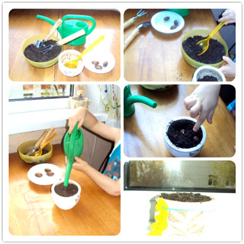 Месяц дубу!