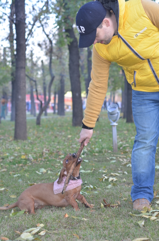 Осень. Прогулка. Сад им.Баумана