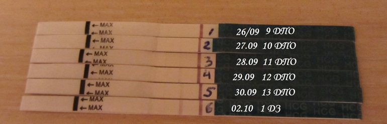 Наша динамика