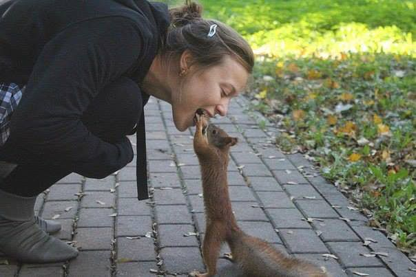 Мяу, гав и многое-многое другое:)