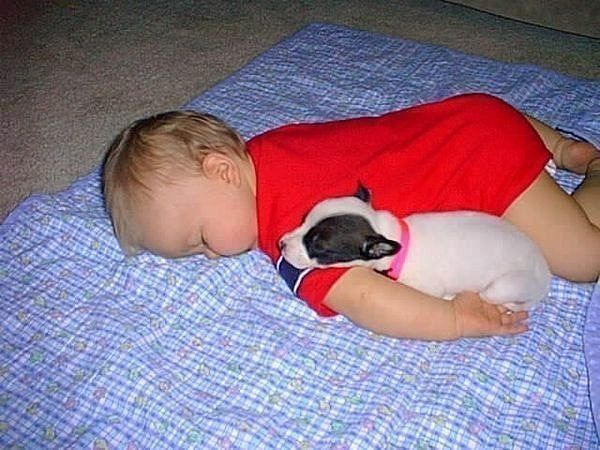 Мяу, гав и многое-многое другое:)