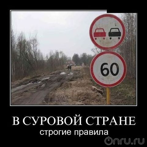 d42da93ee27014375d3ac5912f87702a.jpg