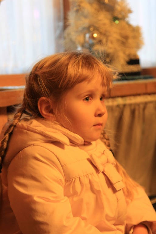 Усадьба Деда Мороза в Москве.