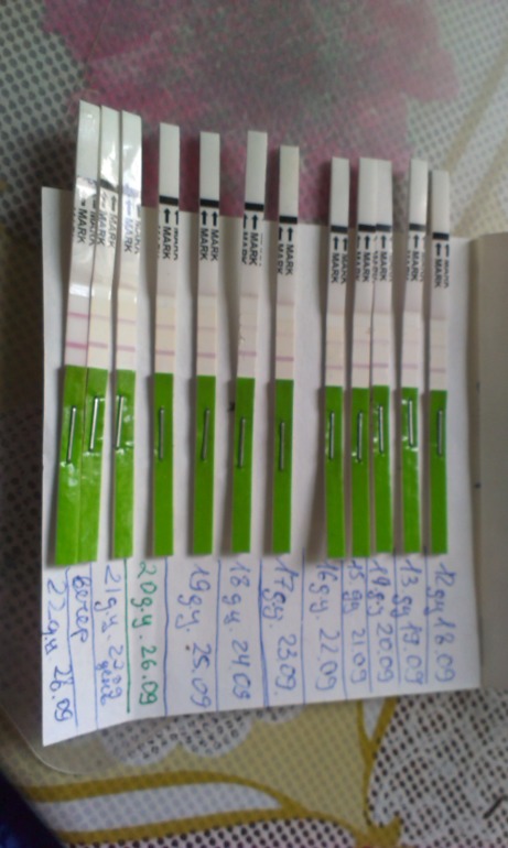 посмотрите тесты