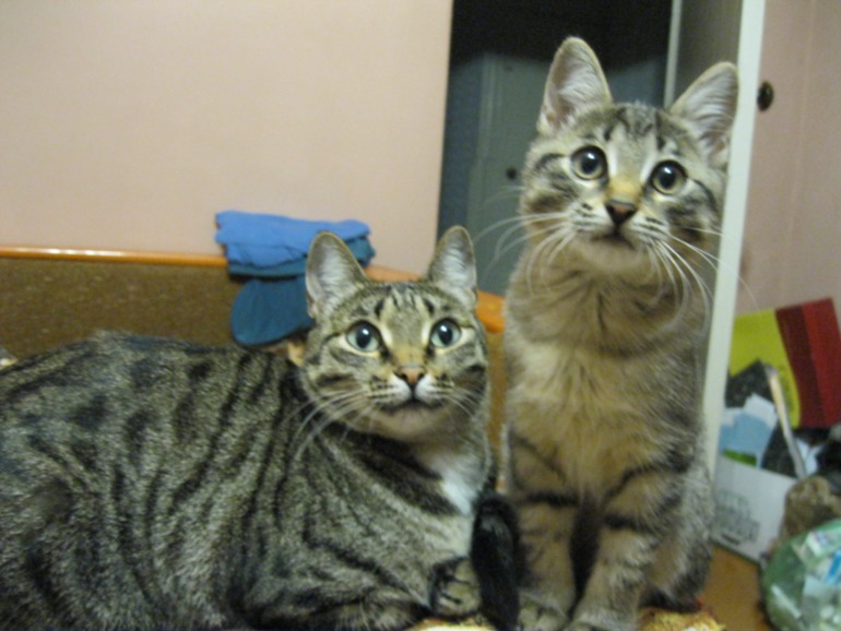 Мама с доченькой!