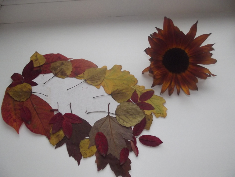 Наш осенний ёж.