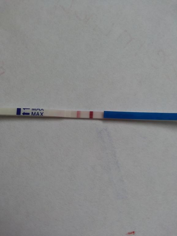 И у нас получилось))))