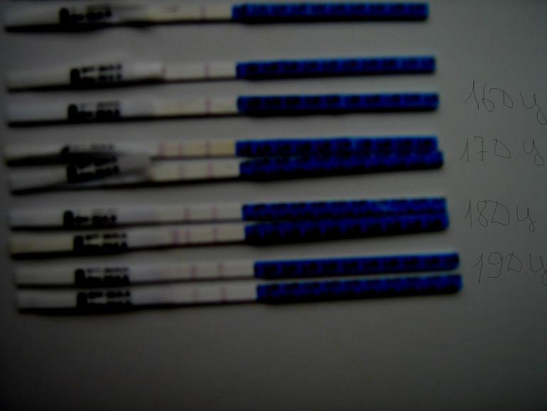 Когда была О?