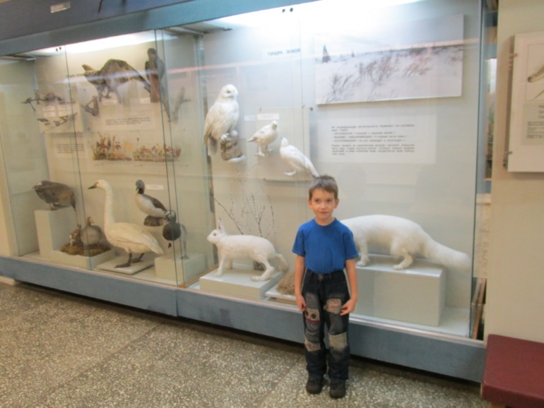 Краеведческий музей