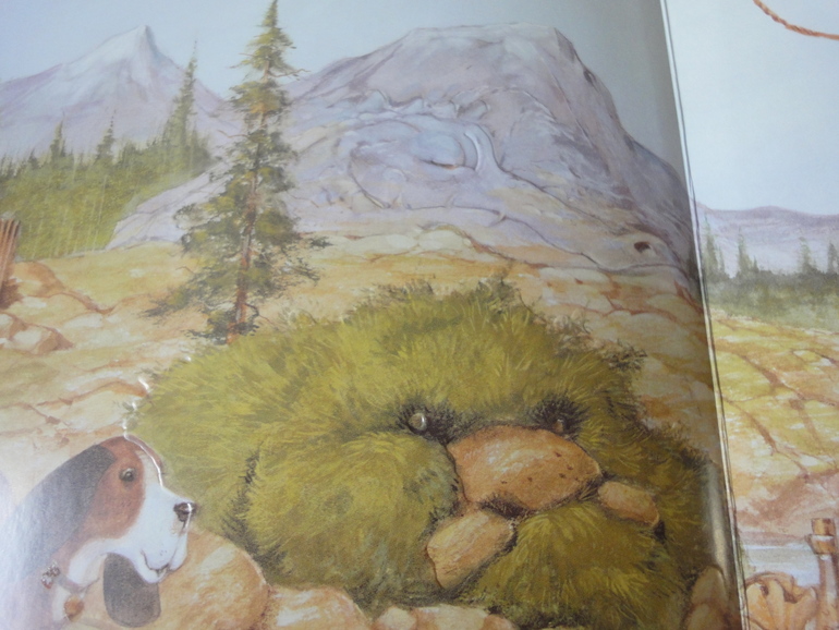 Последние приобретения