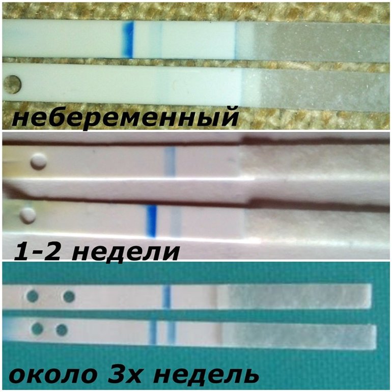04cef5351832de52f2cb17d1b3d7b0d7.jpg