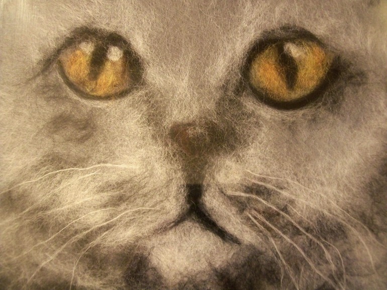 О чем мечтают кошки?