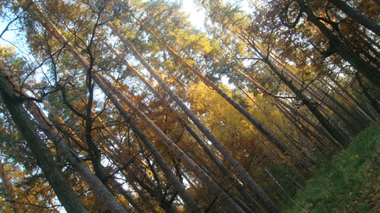 Каникулы в Мексике)))