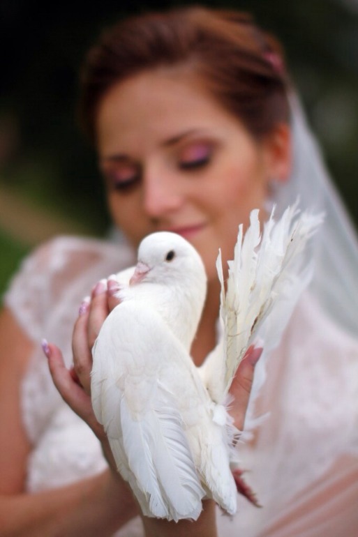 Людмила и Константин