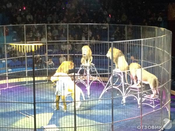 Цирк Больших зверей (Сокольники)