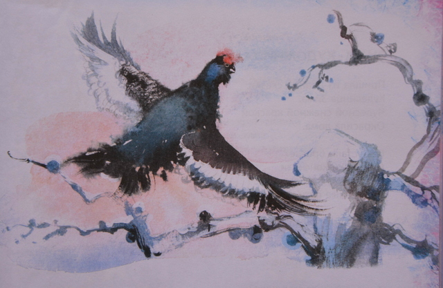 Снежная Звездочка