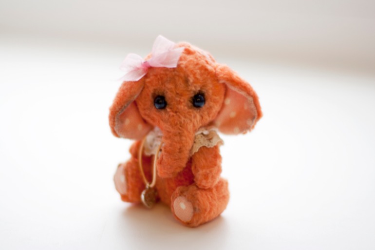 Мой зоопарк