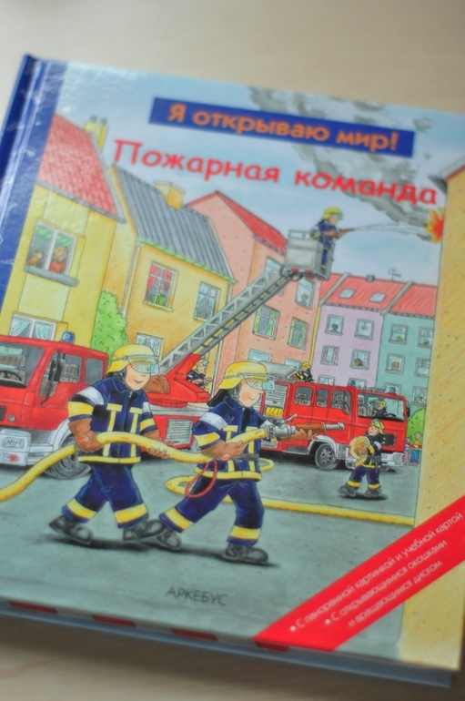 Наши предновогодние, зимние, и другие новые книжки....