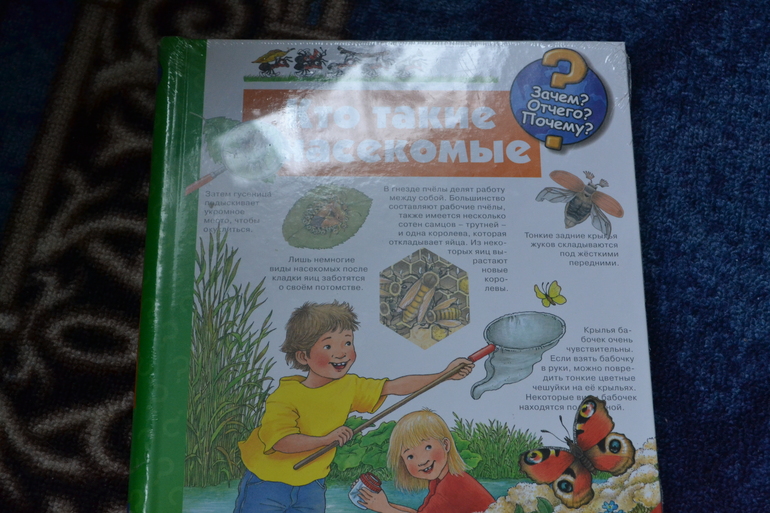 вот, что сегодня купила