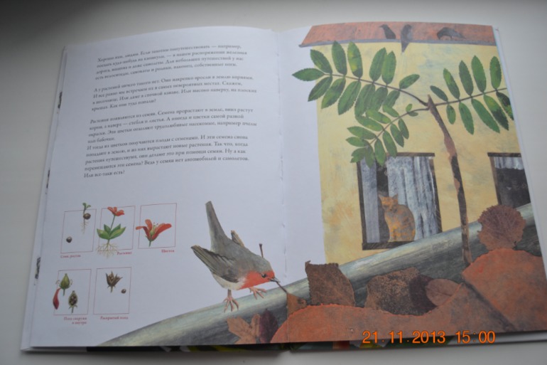 А вот и наше пополнение. Часть 2.