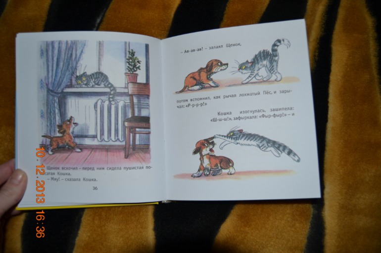 Наше пополнение