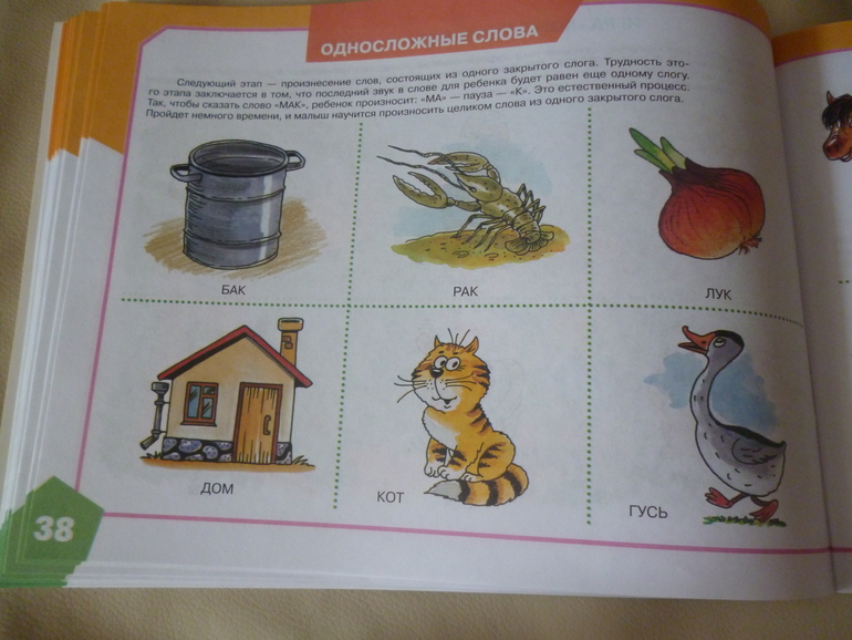 Альбом по развитию речи для самых маленьких