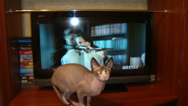 Наш ответ Чемберлену!!!!