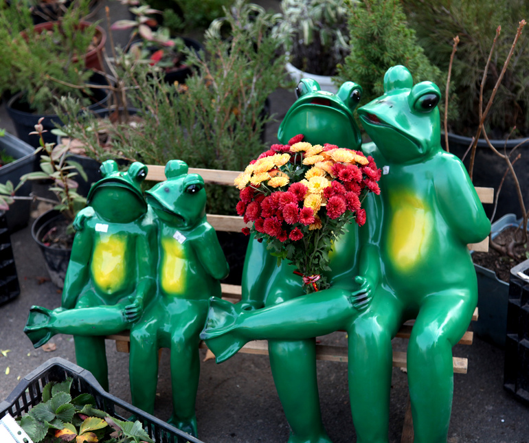 Знак! Девченки а вдруг получится.....?