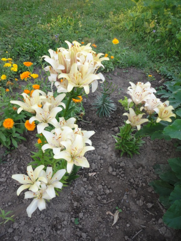 Похвастушки))))) Было и стало!