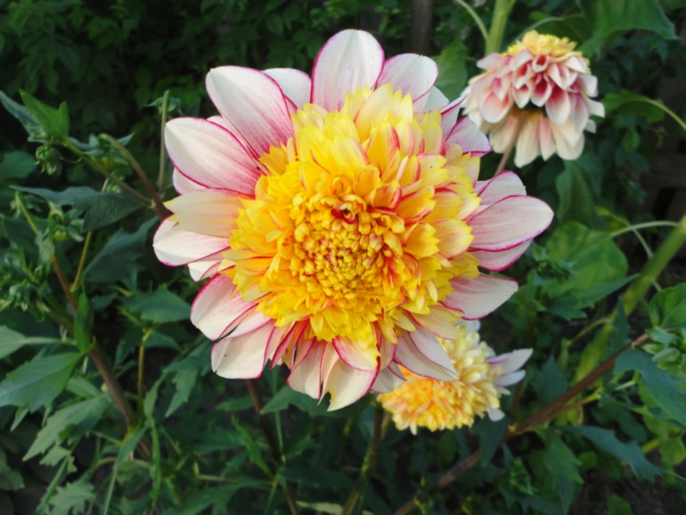 Похвастушки))))) Было и стало!