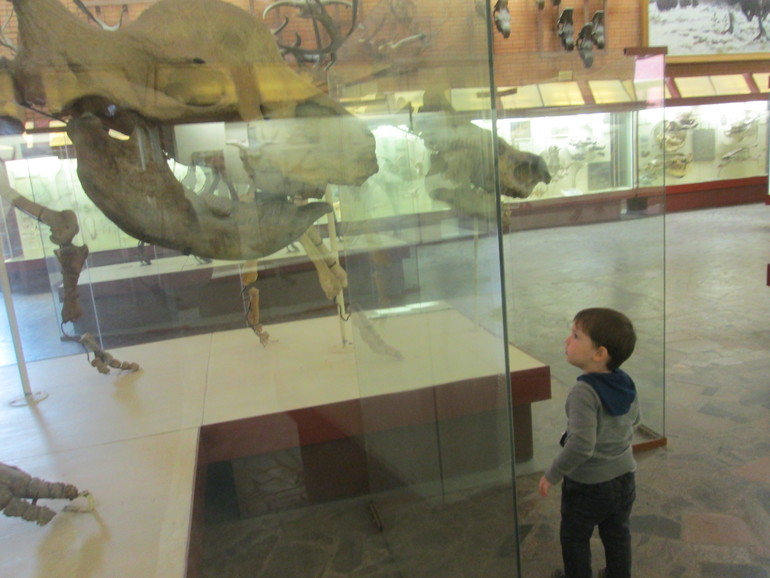 ТН динозавры