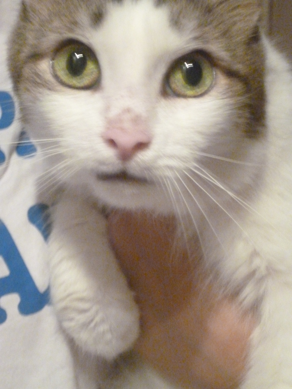 Контрольное задание № 16. Увеличение насыщенности