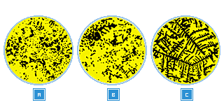 42ff78bf3b8912f799cbdf6cd79c411b.gif