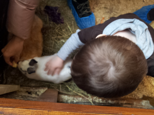 ВВЦ на ВДНХ