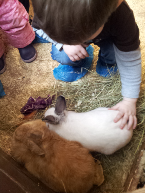 ВВЦ на ВДНХ