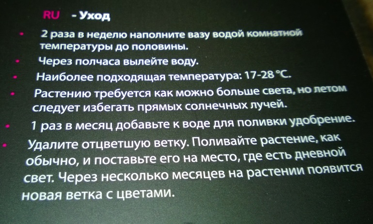 Помогите с орхидейкой