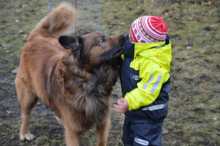 Братья меньшие