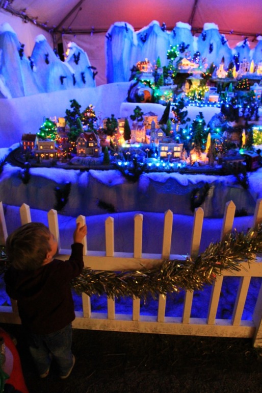 Парк Санты - новогодняя сказка в Майами (фото)