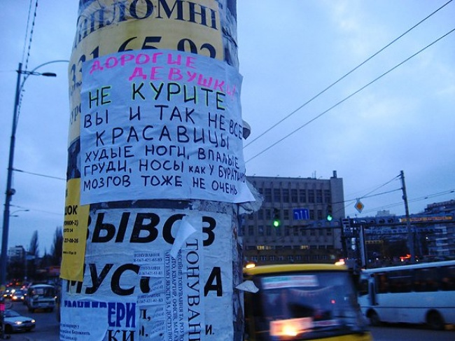 Просто симпатичные картинки))))