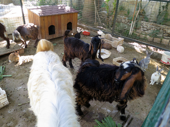 турция фетхие-4. развлечения