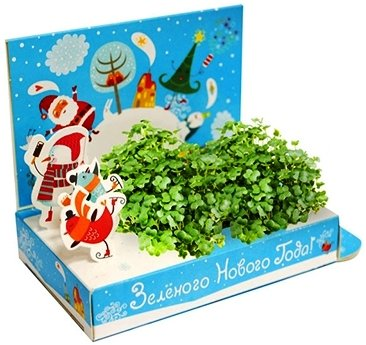 Оригинальная открытка к Новому году)