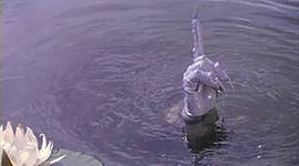 Ужасы моего детства. Пост собирательный.